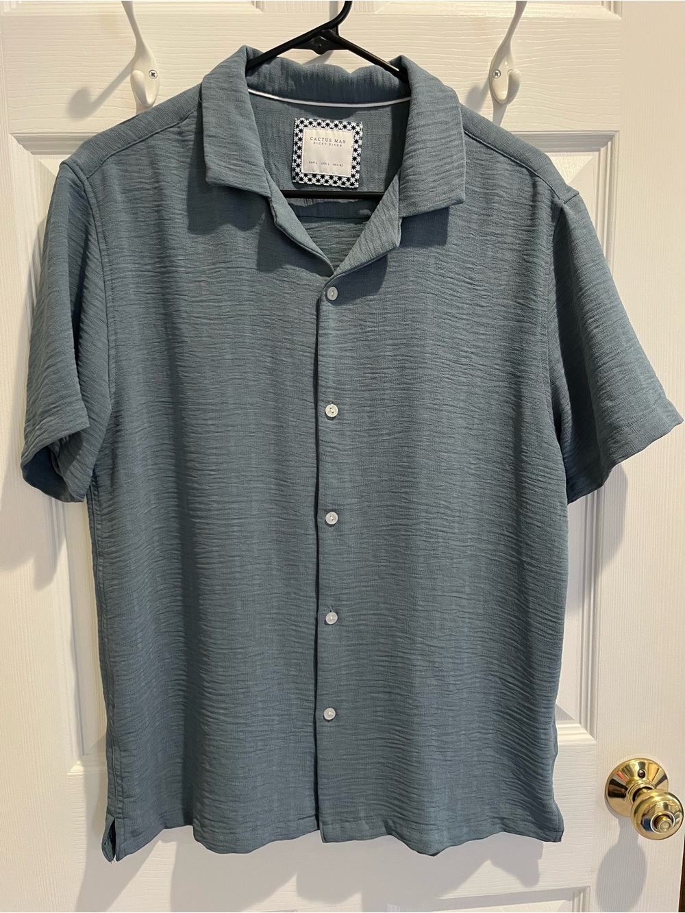 Cactus Man Men’s Short-Sleeve Button Shirt - Slate Blue